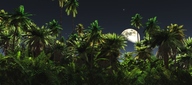 Jungle at night, the moon above the palm trees, a panorama of the jungle under the moon Stock Illustration | Adobe Stock