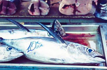 Fresh fish for sale in the fish market Pescheria of Catania, Sicily, Italy.