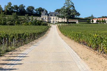  Vineyard of Chateau Fonplegade - name (literally fountain of plenty) was derived from the historic 13th century stone fountain that graces the estate's vineyard. St Emilion, France