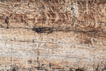 Old wood texture.