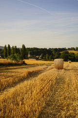 Paysage Campagne 521