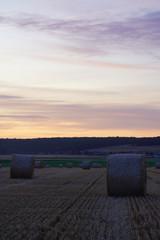 Paysage Campagne 531