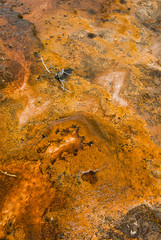 Biscuit Basin, Yellowstone National Park, Wyoming