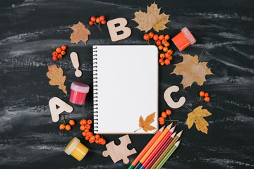Back to school concept. Notebook, colored pencils, rowan, gouache and dried maple leaves and office...