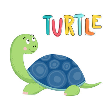 Cute turtle drawn vector illustration with lettering Turtle.