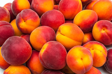 many fresh apricots top view 