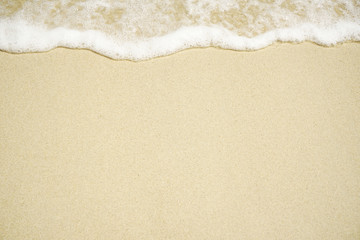 Fototapeta na wymiar Tropical beach with white coral sand and calm wave with space for text background 