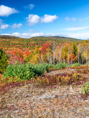 Acadia National Park in October, Maine
