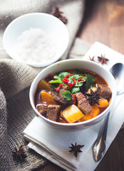 Vietnamese beef stew