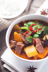 Vietnamese beef stew