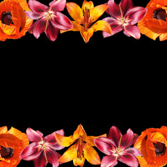 Beautiful floral background of lilies and poppy. Isolated