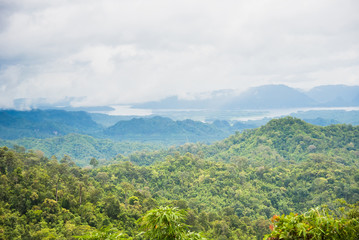 Fototapeta premium The forest with fog after raining.Thailand.