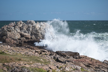 Large waves on a windy day at Hermanus, South Africa