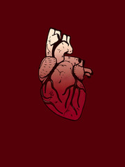 heart