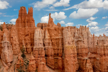 Naklejka premium bryce canyon national park