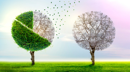 Loss of market share The pie chart is a growing green tree and falls into a business concept of...