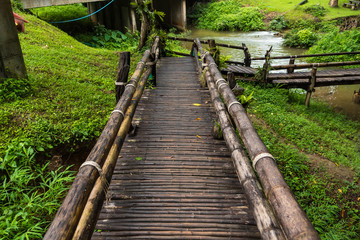 Wood bridge into the forest.
