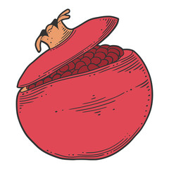 Fresh raw pomegranate. Vector concept in doodle and sketch style.