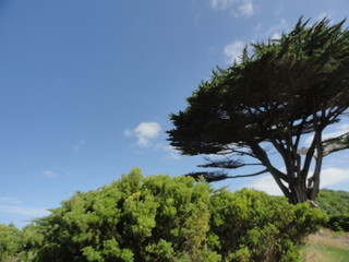 Great Ocean Road, Victoria, Australia