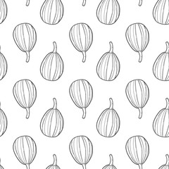 Fresh raw pumpkin. Vector concept in doodle and sketch style. Hand drawn illustration for printing on T-shirts, postcards.