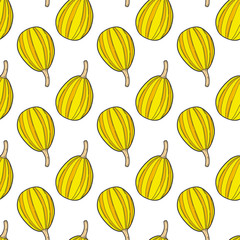 Fresh raw pumpkin. Vector concept in doodle and sketch style. Hand drawn illustration for printing on T-shirts, postcards.