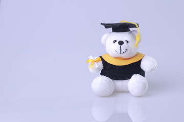graduation greeting ilustration, white bear with space for graduation concept
