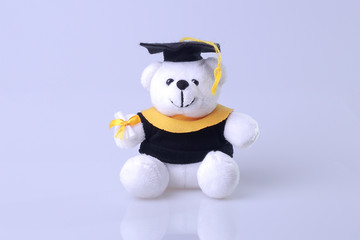 graduation greeting ilustration, white bear with space for graduation concept