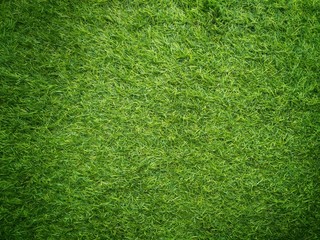 Fototapeta na wymiar Green grass texture background