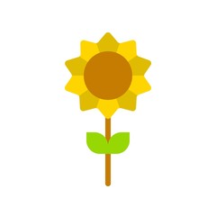 thanksgiving icon related set sun flower plant in flat design.