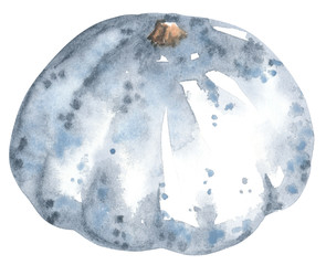 Vegetable, pumpkin squash, hand drawn watercolor illustration isolated on white. Halloween symbol