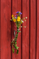 Blumenstrauß dekoriert rote Holzwand. Bouquet of flowers decorating red wooden wall.