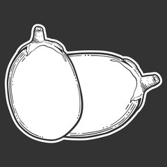 Fresh raw eggplant. Vector concept in doodle and sketch style.