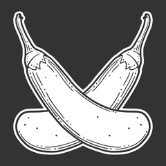 Fresh raw eggplant. Vector concept in doodle and sketch style.