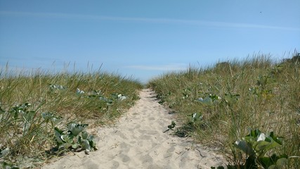 Düne an der Ostsee, Zugang zum Meer