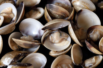 Shellfish background. Fresh seafood. Selective focus