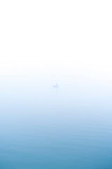 Angler in morning mist standing in a boat
