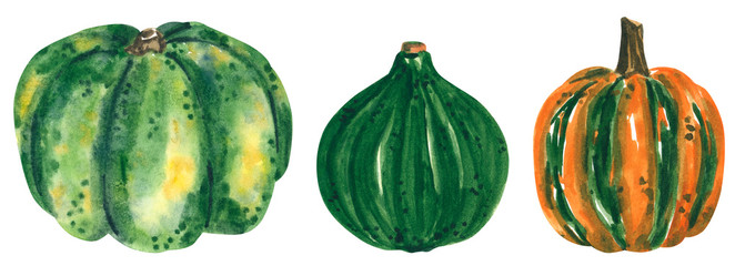 Different green and orange pumpkin squash clipart set, hand drawn watercolor illustration isolated on white. Halloween symbol