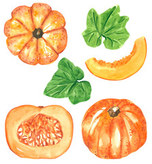 Different orange pumpkin squash clipart set, hand drawn watercolor illustration isolated on white. Halloween symbol