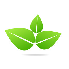 Green Leaf Icon design Vector Illustration