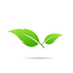 Green Leaf Icon design Vector Illustration