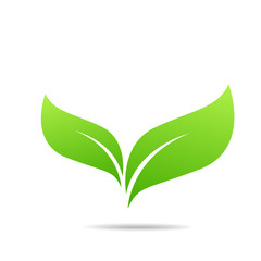 Green Leaf Icon design Vector Illustration