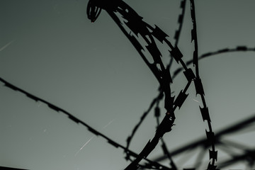 Silhouette of old barbed wire at dusk