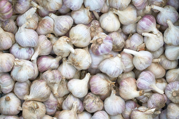 many garlic bulbs texture new crop