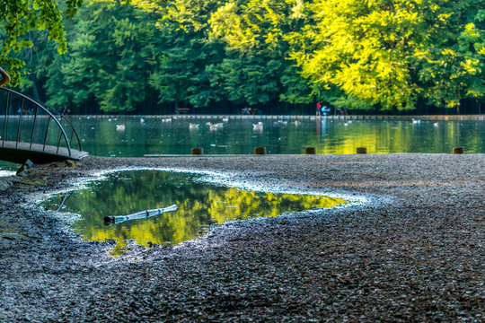 Image of water reflection in puddle in front of a lake