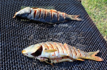 two fish on the grill