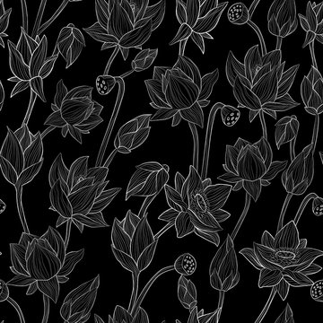 Water lily hand draw outline art seamless vector pattern in black and white. Hand draw illustration of lotus repeater background.