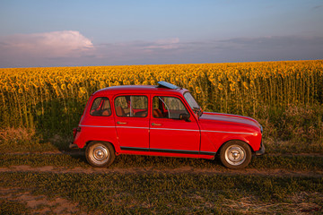 Fototapeta premium red retro car on a field in the setting sun