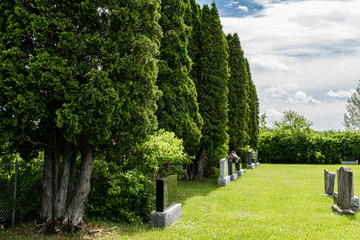 Fototapeta na wymiar cemetery landscape and environment around