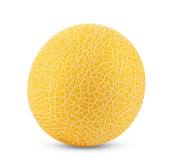 yellow cantaloupe melon isolated on white background. full depth of field