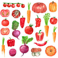 Different red, orange, purple vegetables clipart set, pumpkin, carrot, tomato, beetroot, pepper, hand drawn watercolor illustration isolated on white. Halloween symbol